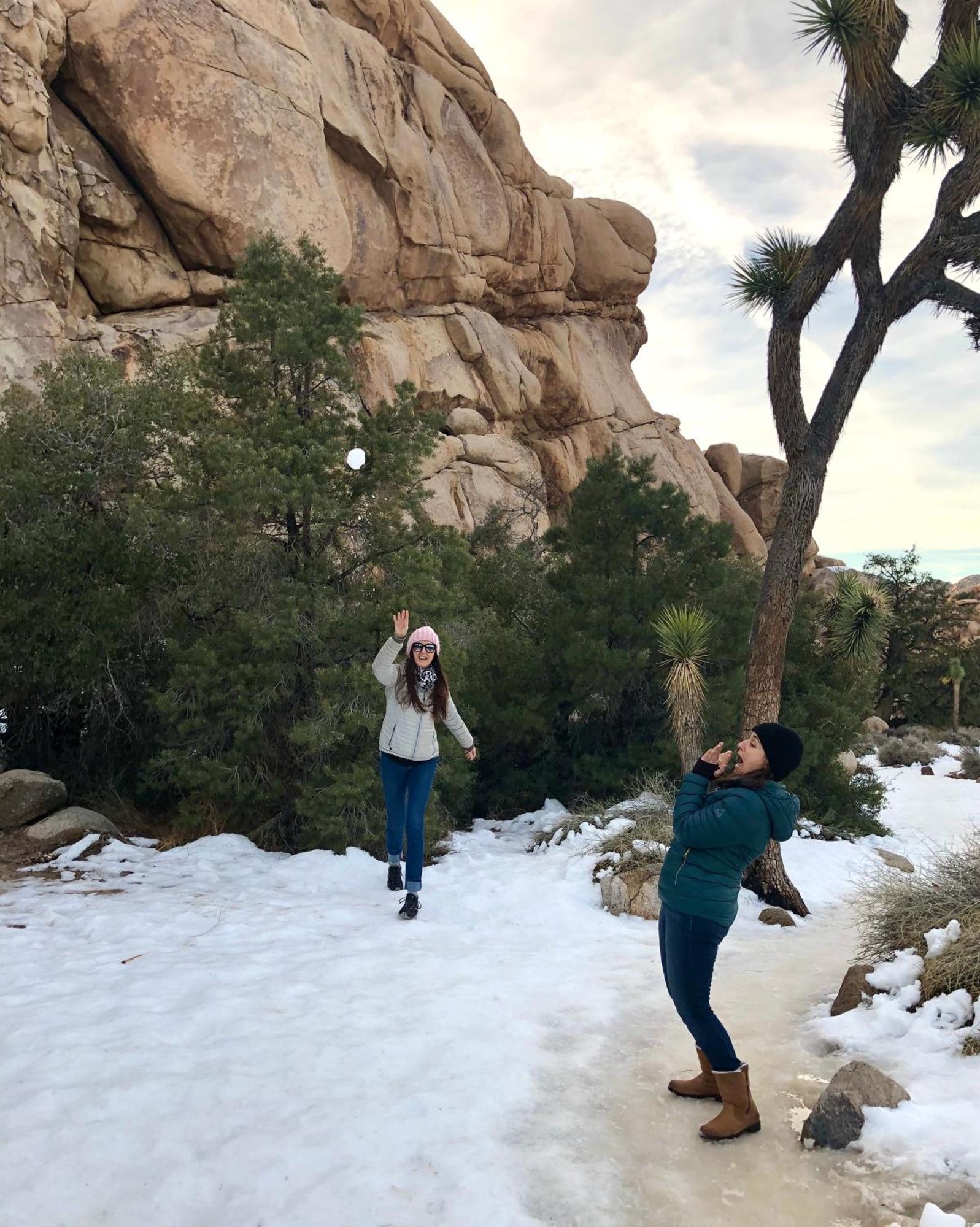 Cozy Desert Retreat With Amazing Views Only 4 Miles To Jtnp Joshua Tree Kültér fotó
