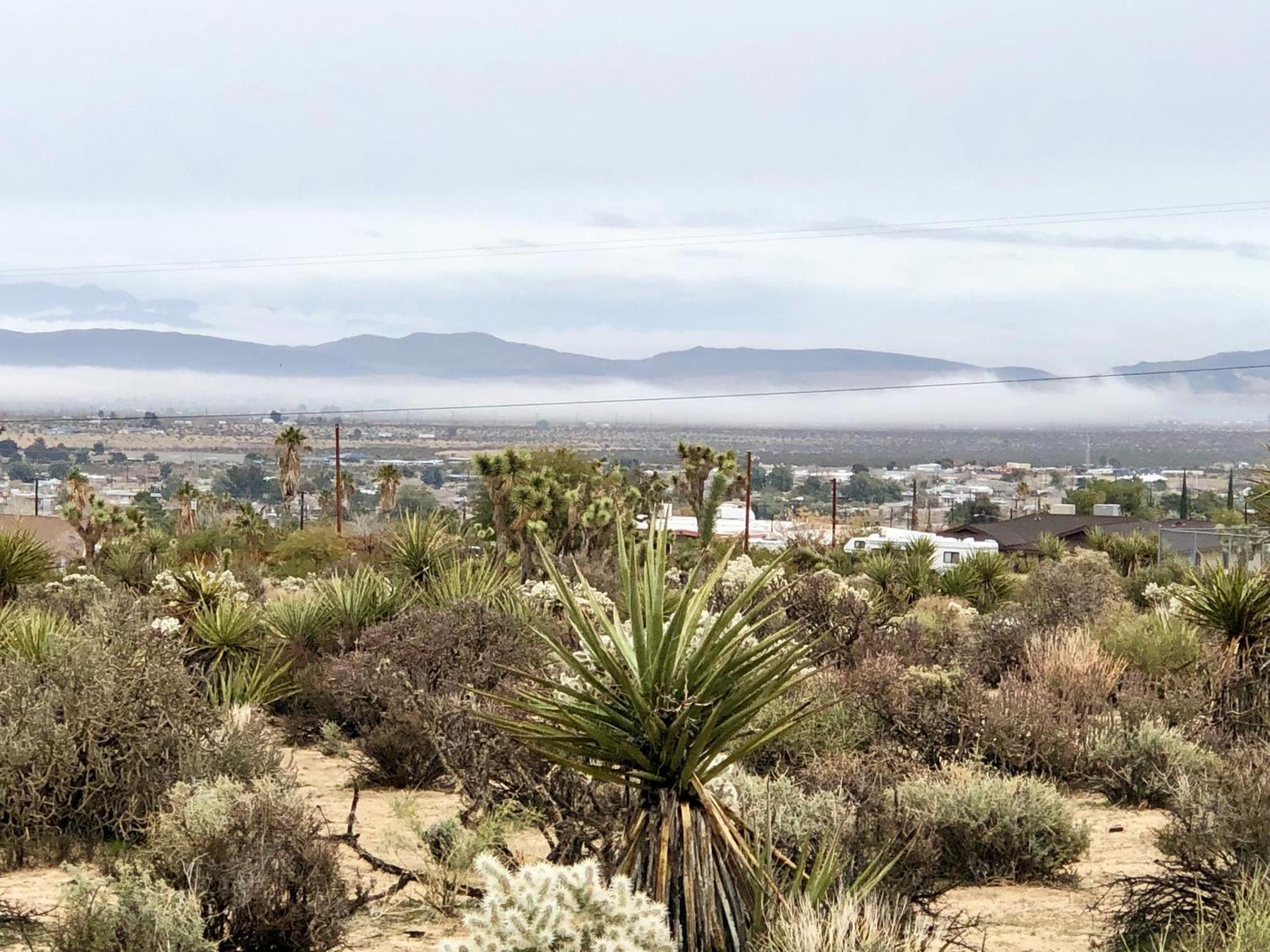 Cozy Desert Retreat With Amazing Views Only 4 Miles To Jtnp Joshua Tree Kültér fotó
